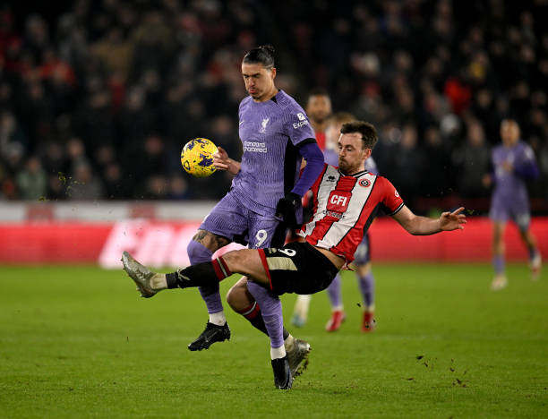 安东尼的加 安东尼的加