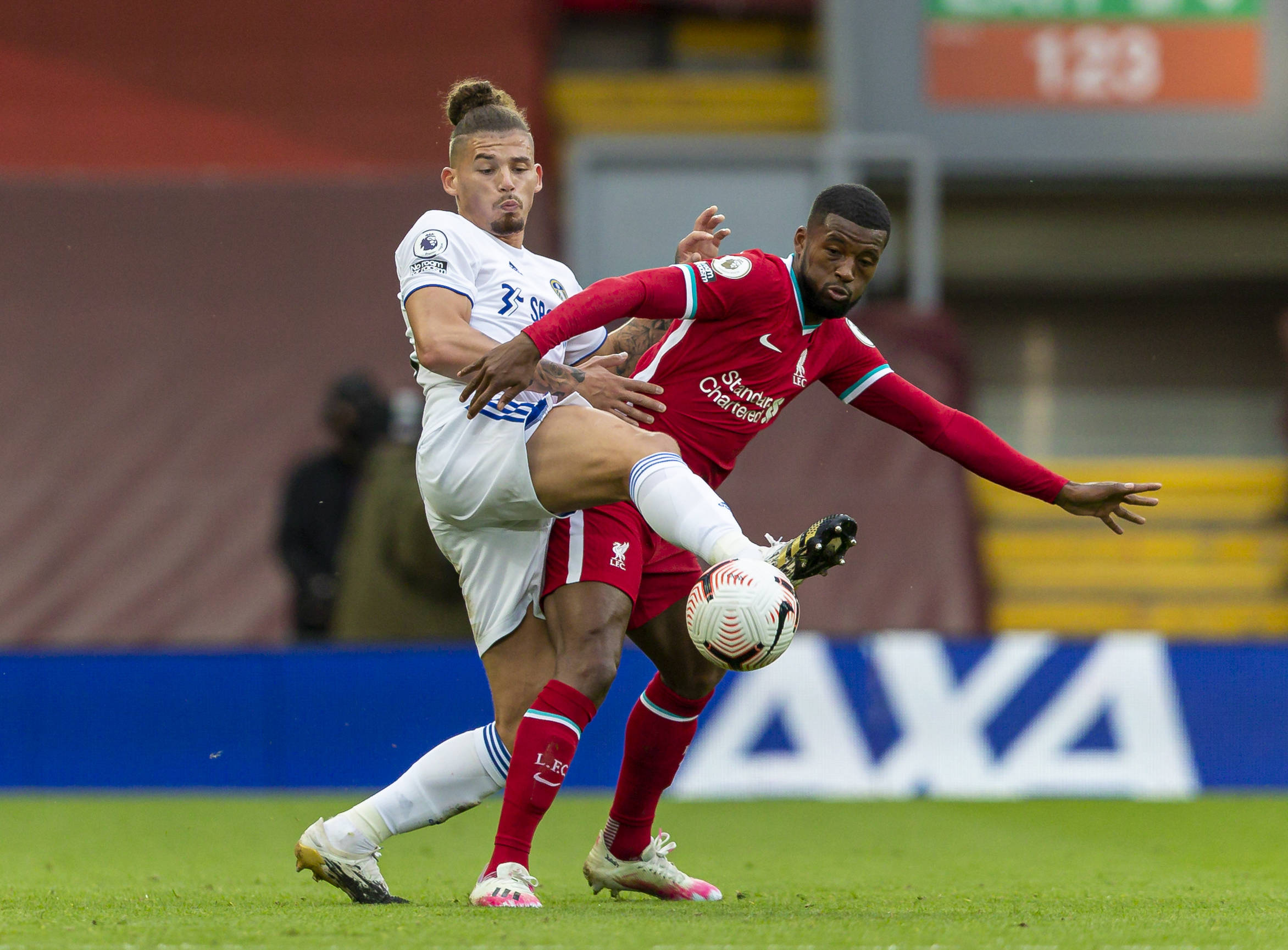 为观众揭示 为观众揭示