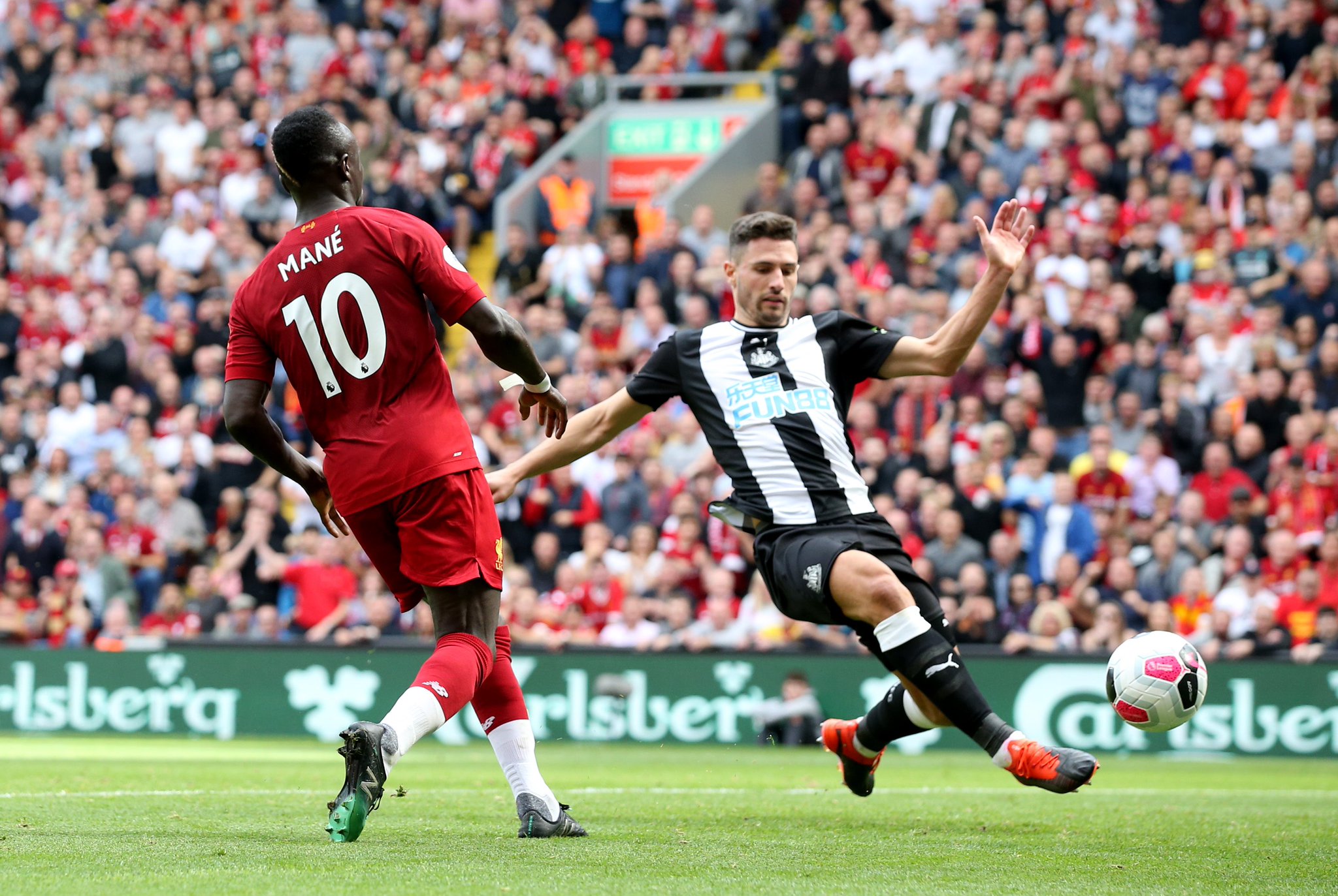 中国女排球 中国女排球